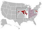 Baltimore map